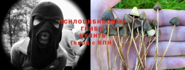 хмурый Алексин