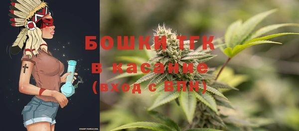 твердый Алексеевка
