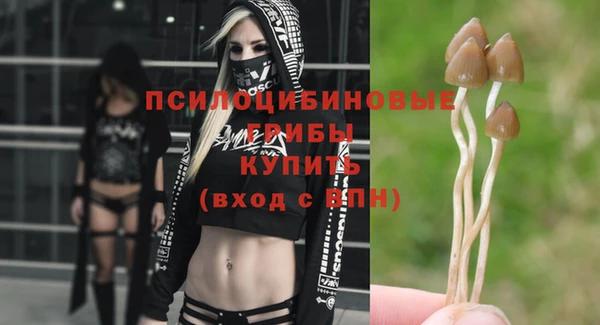 хмурый Алексин