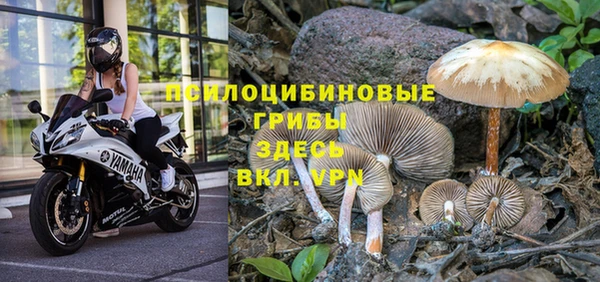 герыч Алзамай