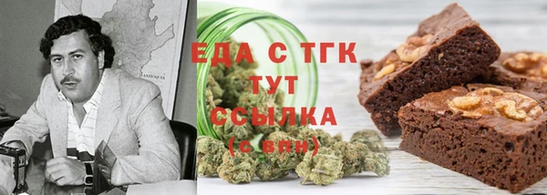 хмурый Алексин