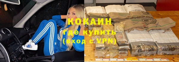 хмурый Алексин